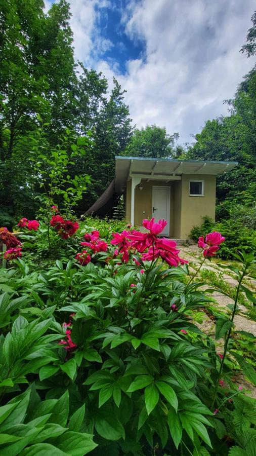 The Bungalow Braszów Zewnętrze zdjęcie